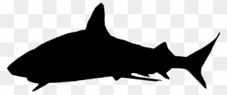Silhouette Clip Art At Getdrawings Com Free - Shark Image Transparent Backgrounds - Png Download