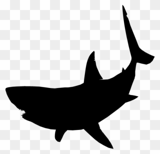 Great White Shark Clipart Jumping - Great White Shark Silhouette - Png Download