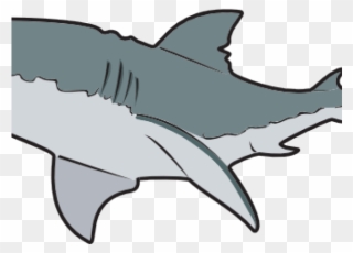 Great White Shark Clipart Reef Shark - Great White Shark Mugs - Png Download