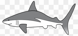 Big Image - Simple Shark Clipart - Png Download
