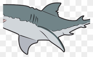 Great White Shark Clipart Angry - Great White Shark Mugs - Png Download