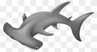 Hammerheadshark Png Clipart - Hammerhead Shark Transparent Background