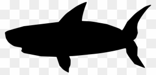 Great White Shark Bruce Hammerhead Shark Blue Shark - Shark Clipart