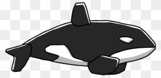 Humpback Whale Clipart Scribblenauts - Scribblenauts Killer Whale - Png Download