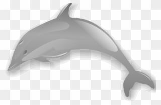 Dolphin Enrique Meza C 02 Clip Art Download - Dolphin .png Transparent Png