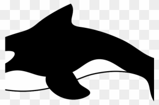 Bottlenose Dolphin Clipart Cartoon - Orca Killer Whales Cartoon - Png Download