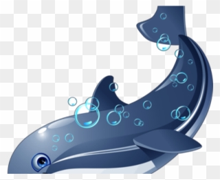 Bottlenose Dolphin Clipart Cartoon - Png Животные Transparent Png