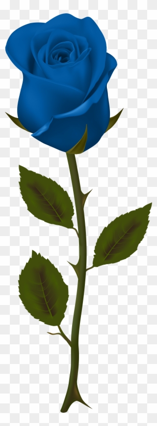 Blue Rose No Background Clipart