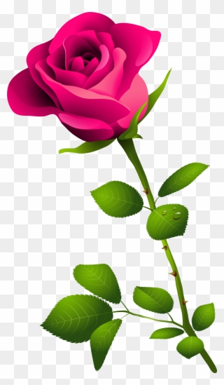 Pink Rose With Stem Clipart