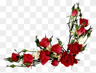 Vector Flowers, Flower Clipart, Vintage Roses, Vintage - Rose Flower Vector Png Transparent Png