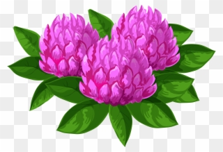 Wild Flowers Png Clip Art Imageu200b Gallery Yopriceville - Common Peony Transparent Png