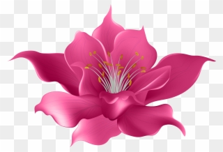 Drawing Violet Clip Art Painting Transprent Png - Magnolia Flower Transparent Png