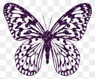Purple Decorative Butterfly Png Clipart Image - Pink Transparent Png Butterfly