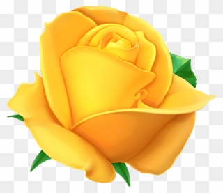 Yellow Rose With Transparent Background Clipart