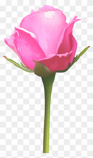 Single Pink Rose Flower Clipart