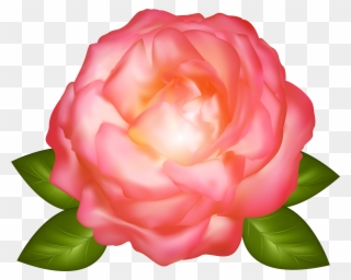 Rose Clipart