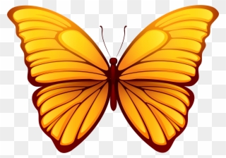 Butterfly Png Clipart