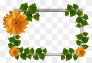 Flower Frame Png, Wallpaper Backgrounds, Nature Plants, - Leaf Frame Png Clipart