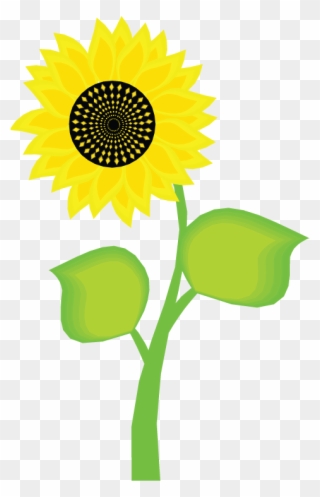 Sunflower Clipart Bunga Matahari - Marketing Principles 2nd Edition - Png Download
