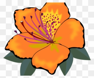 Orange Flower Clipart One Flower - Orange Flower Clipart - Png Download