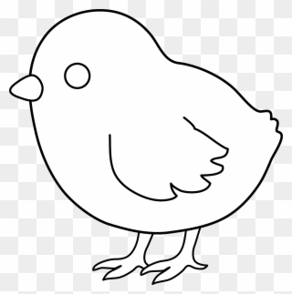 Baby Chick Line Art - Free Coloring Baby Chick Clipart