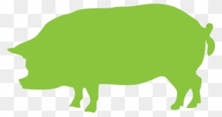 Pork - Animal Law Clipart