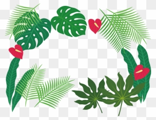 Clip Art Plant Leaves - Tropical Leaves Clip Art - Png Download