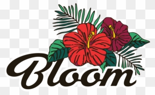 Hibiscus Clipart Shrub - Hawaiian Hibiscus - Png Download