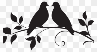 Love Birds Transparent Background Clipart