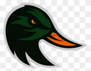 Taylor Ducks Logo Clipart