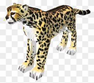 Jaguar Transparent Zoo Tycoon - Cheetah Clipart