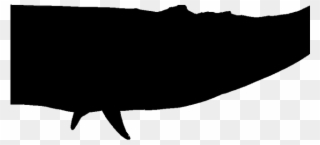 Sperm Whale Clipart Shadow - Silhouette - Png Download