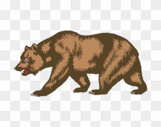 Com Brown Bear - California Grizzly Bear Drawing Clipart