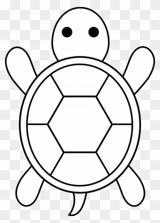images of easy coloring pages  easy cute turtle drawing