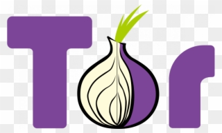 Use Your Raspberry Pi From Everywhere - Tor Browser Logo Png Clipart