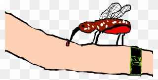 Mosquitoes On Emaze Clipart