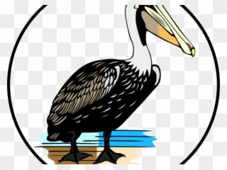 Pelican Clipart Louisiana Pelican - Brown Pelican Clip Art - Png Download