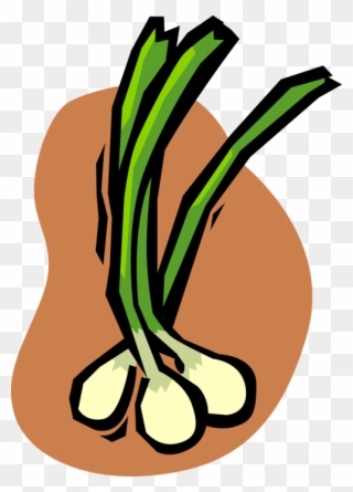 Vector Illustration Of Green Scallion Onion Vegetable Clipart