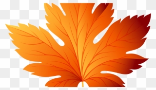 Fall Leaves Clip Art Transparent - Png Download