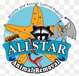 Allstar Animal Removal Florida Clipart