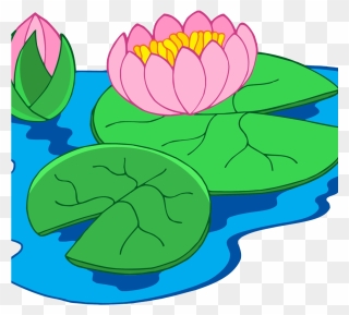 Water Lily Plant Clipart - Png Download