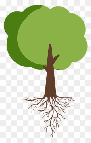 Tree With Roots - Illustration Clipart