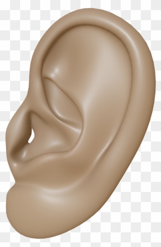 Ear - Brown Ear Transparent Clipart