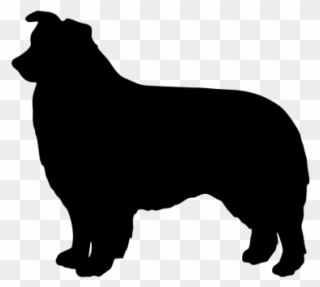 Australian Cattle Dog Clipart Silhouette - Mini Australian Shepherd Silhouette - Png Download