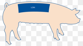 The Loin Roast Comes From The Area Of The Pig Between - Pork Loin Comes From What Part Clipart