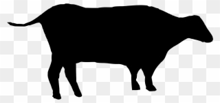All Photo Png Clipart - Cattle Transparent Png