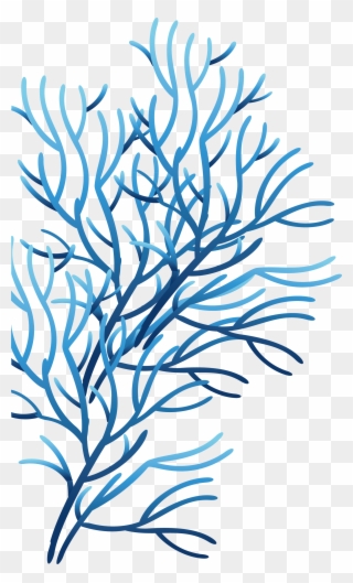 Clipart Library Coral Sea Clip Art - Coral Azul Png Transparent Png