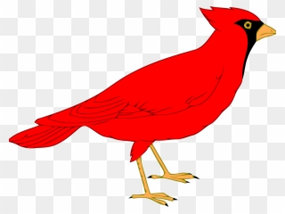 Northern Cardinal St - Custom Red Cardinal Throw Blanket Clipart