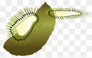 Kiwifruit Computer Icons Bird Coloring Book - Clip Art - Png Download