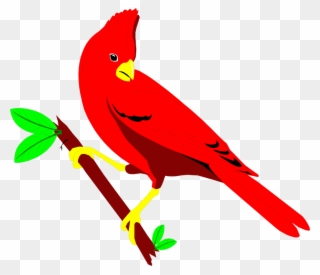 Cardinal Free Stock Photo Illustration Of A Red Cardinal - Clip Art Cardinal Bird Scene - Png Download